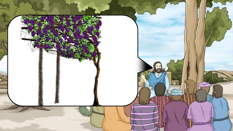 67. Vine & Branches