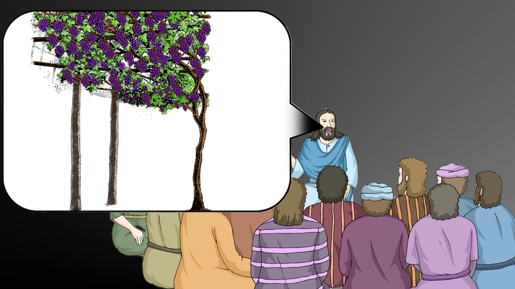 ၆၈။ စပျစ်ပင် နှင့် အကိုင်းအခက်များ