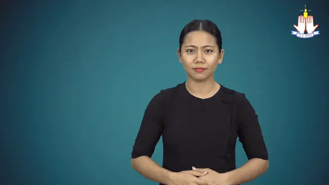 ရှံဆုန် (မိတ်ဆက်)